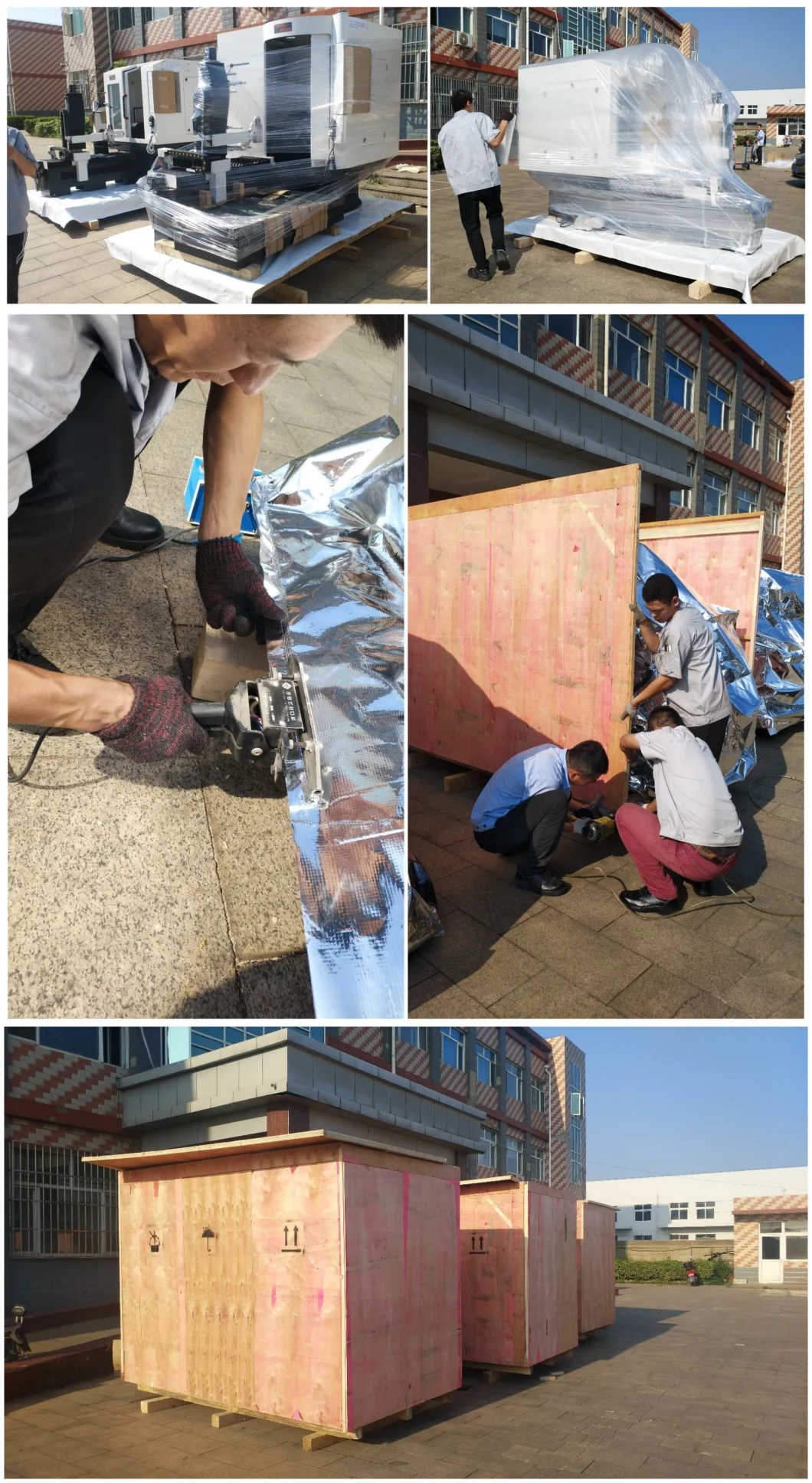 TORSEL Máy cắt đinh lưỡi cưa lạnh CNC 4